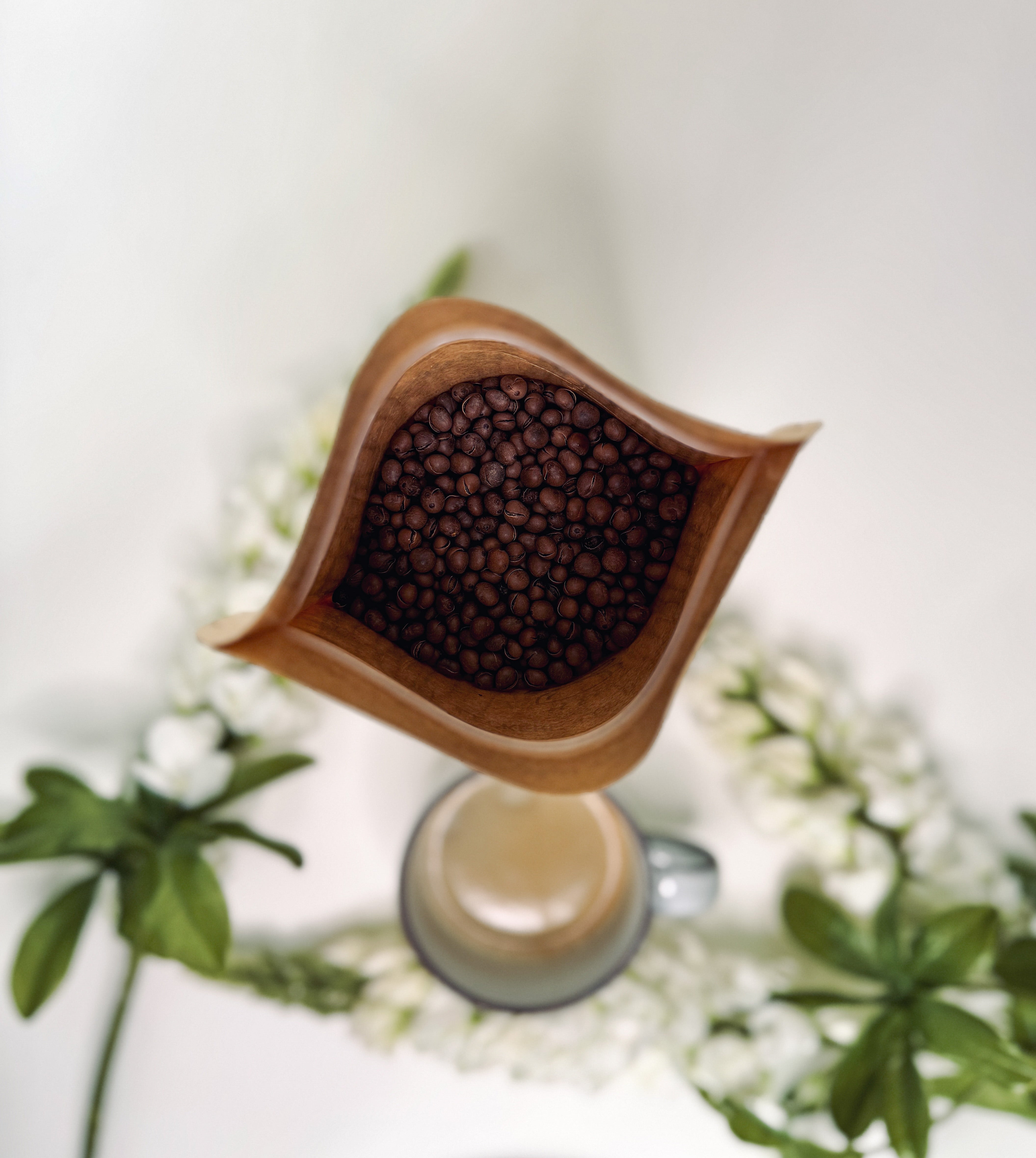 Die Geschichte des Lupinenkaffees: Ein altes Getränk neu entdeckt